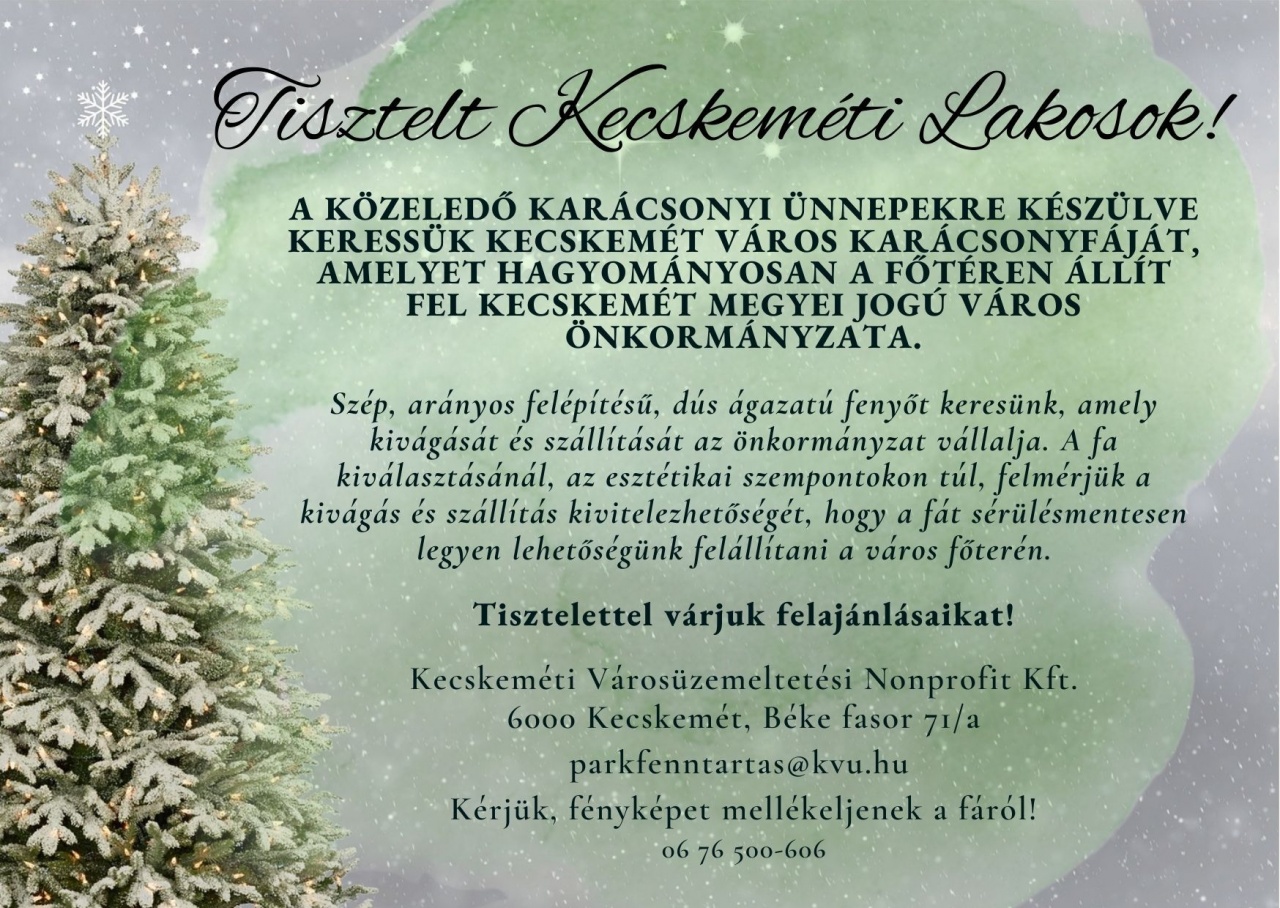 Keressük a város karácsonyfáját! Keressük a város karácsonyfáját!