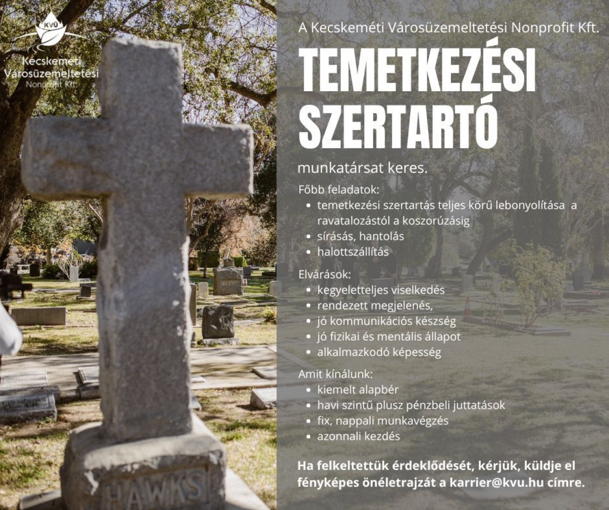 Figyelem - álláslehetőség!