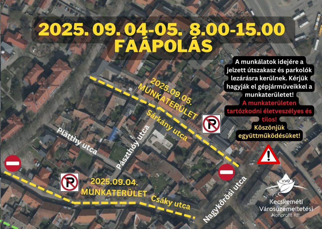 Faápolás a Csáky és a Sárkány utcákban