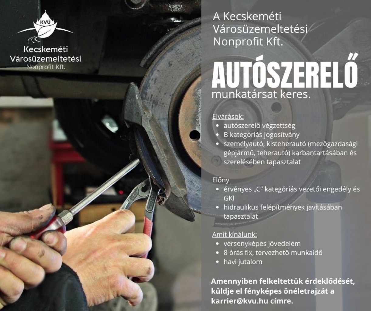 Figyelem - álláslehetőség!