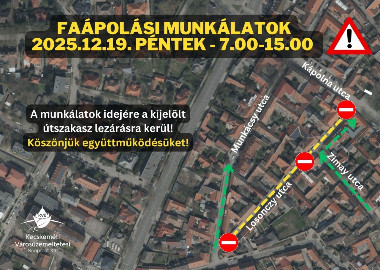 Faápolási munkálatok a Losonczy utcán