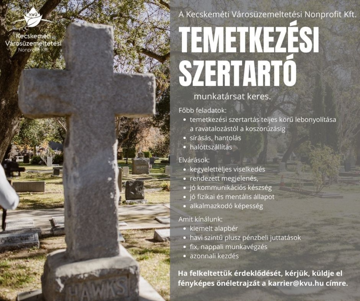 Figyelem - álláslehetőség!