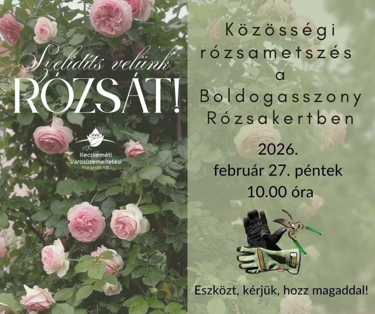 Rózsa- és Rózsakert barátok figyelmébe!