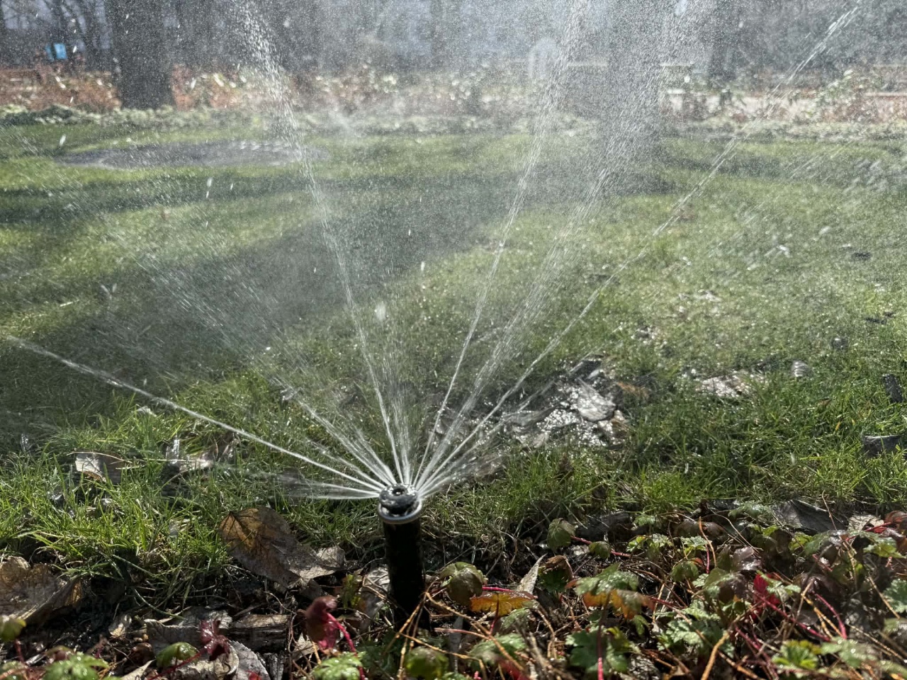 Indul az öntözőszezon!