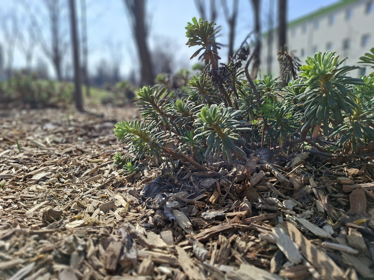 Ma van a víz világnapja