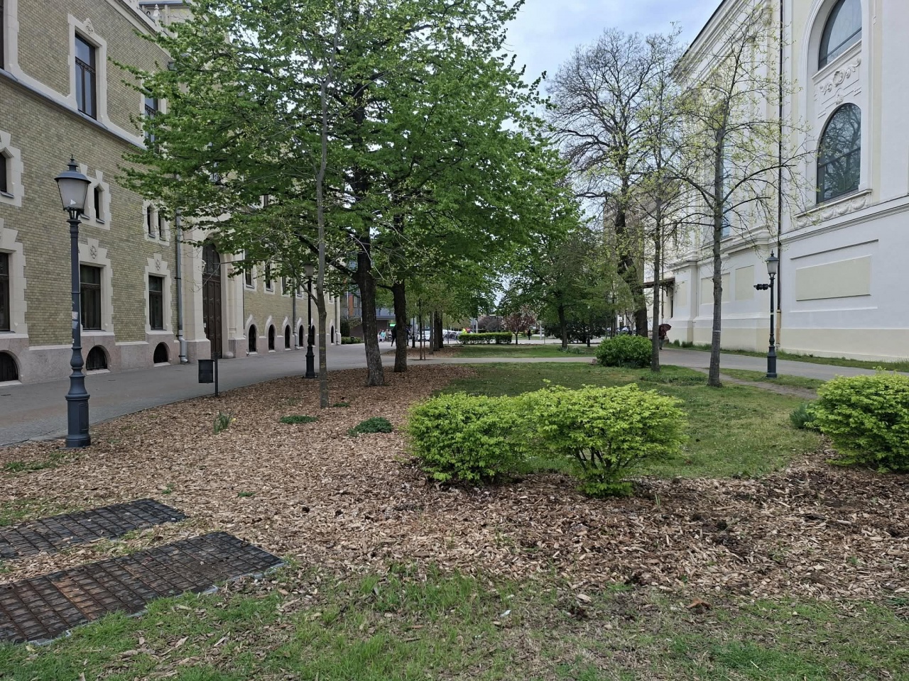 Fűre lépni szabad!