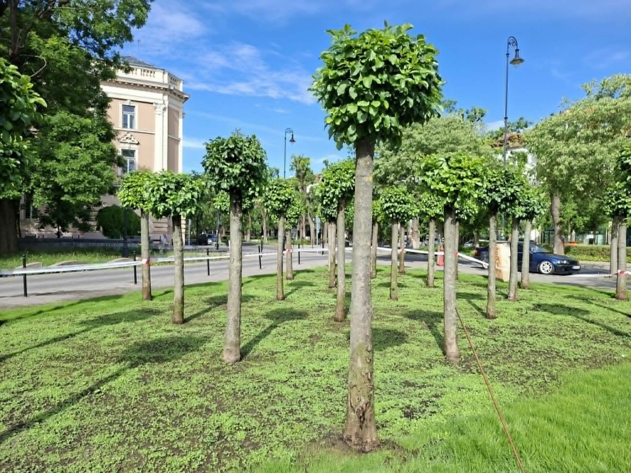 Beindult az élet a Rodostó téren