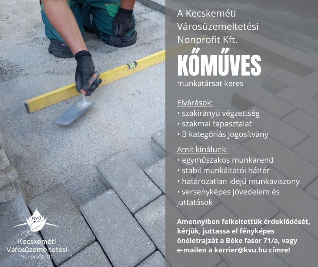 Figyelem - álláslehetőség!