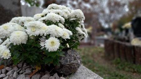 Mindenszentek és Halottak Napja 2023 - Temetési- és behajtási rend Mindenszentek és Halottak Napja 2023 - Temetési- és behajtási rend