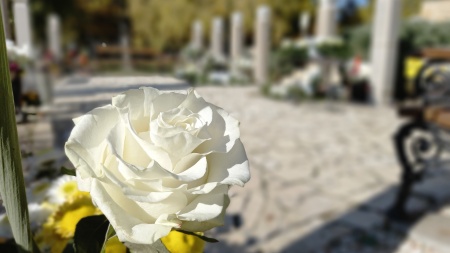 Minden készen áll! Minden készen áll!