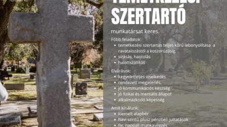 Figyelem - álláslehetőség!