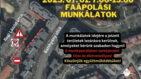 Faápolás a Batthyány utcai parkolókban