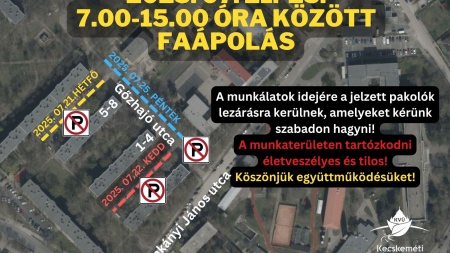 Faápolás kezdődik a Gőzhajó utcán