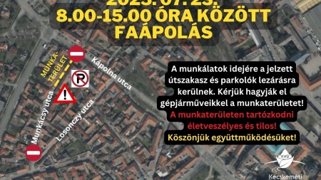 Faápolás a Munkácsy utcán