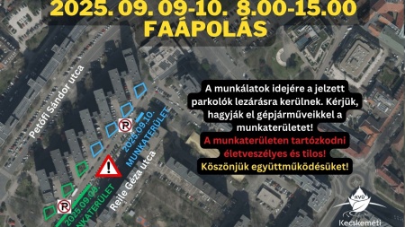 Faápolás a Petőfi Sándor utca - Reile Géza utca parkolóiban
