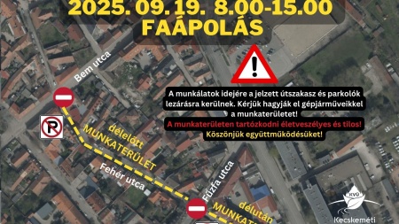 Faápolás miatt pénteken lezárjuk a Fehér utcát!