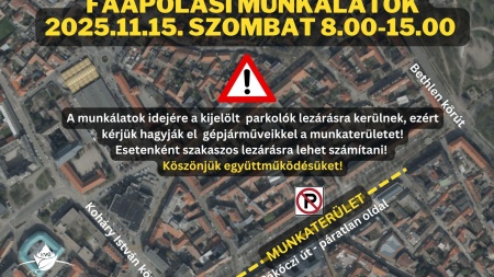 Szombaton faápolás lesz a Rákóczi úton