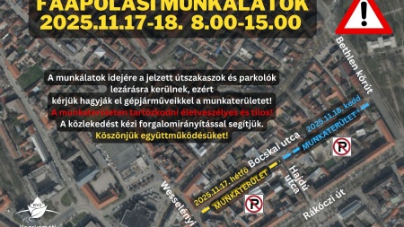Faápolás a Bocskai utcán - két ütemben