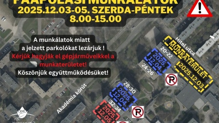 Faápolás a Hitel utca - Akadémia körút parkolóiban