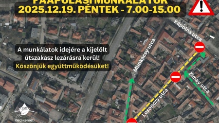 Faápolási munkálatok a Losonczy utcán