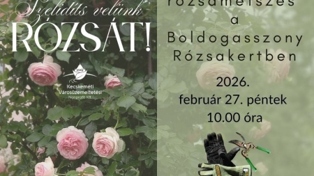 Rózsa- és Rózsakert barátok figyelmébe!