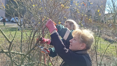 Természetközeli fenntartás kezdődik a Rózsakertben 