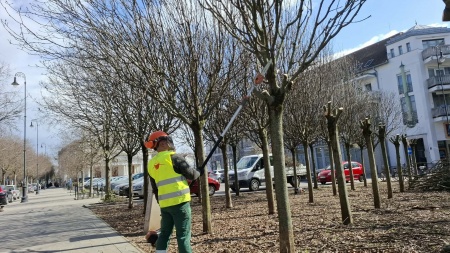 Mi történik a Rodostó téren? 
