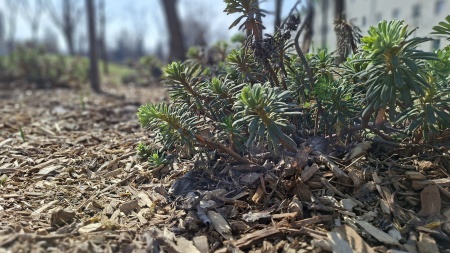 Ma van a víz világnapja