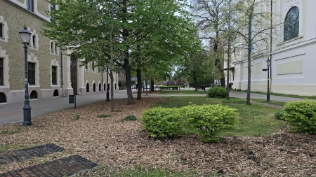 Fűre lépni szabad!