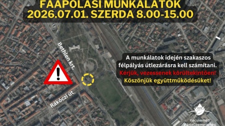 Faápolási munkák a Bethlen körúton