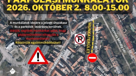 Faápolás a Tompa Mihály utcán